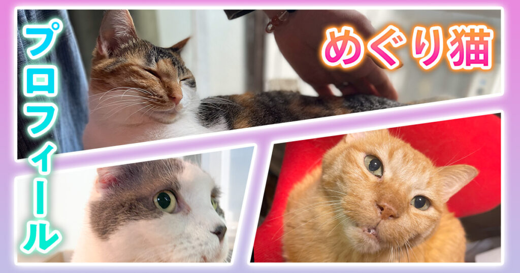猫田のプロフィール