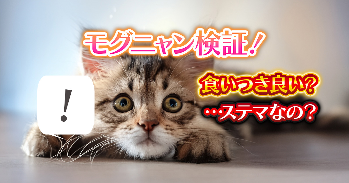 モグニャンキャットフードの口コミを徹底検証！本当の評判と選び方のポイント