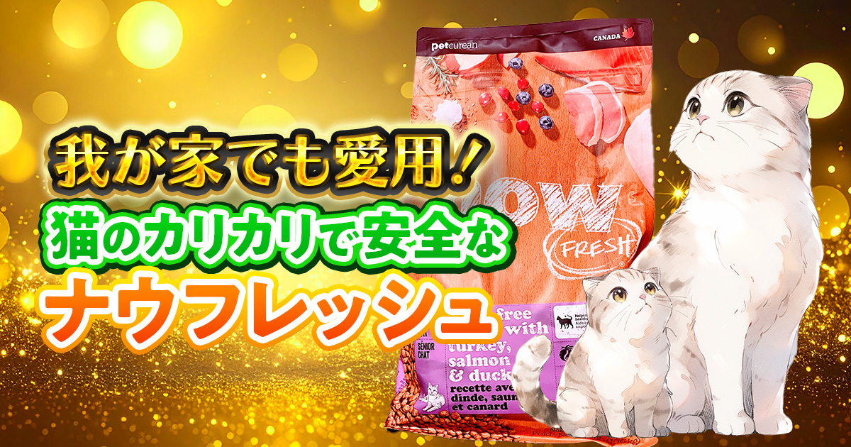 猫のカリカリかつ安全で最優先！ナウフレッシュの評判を徹底解説