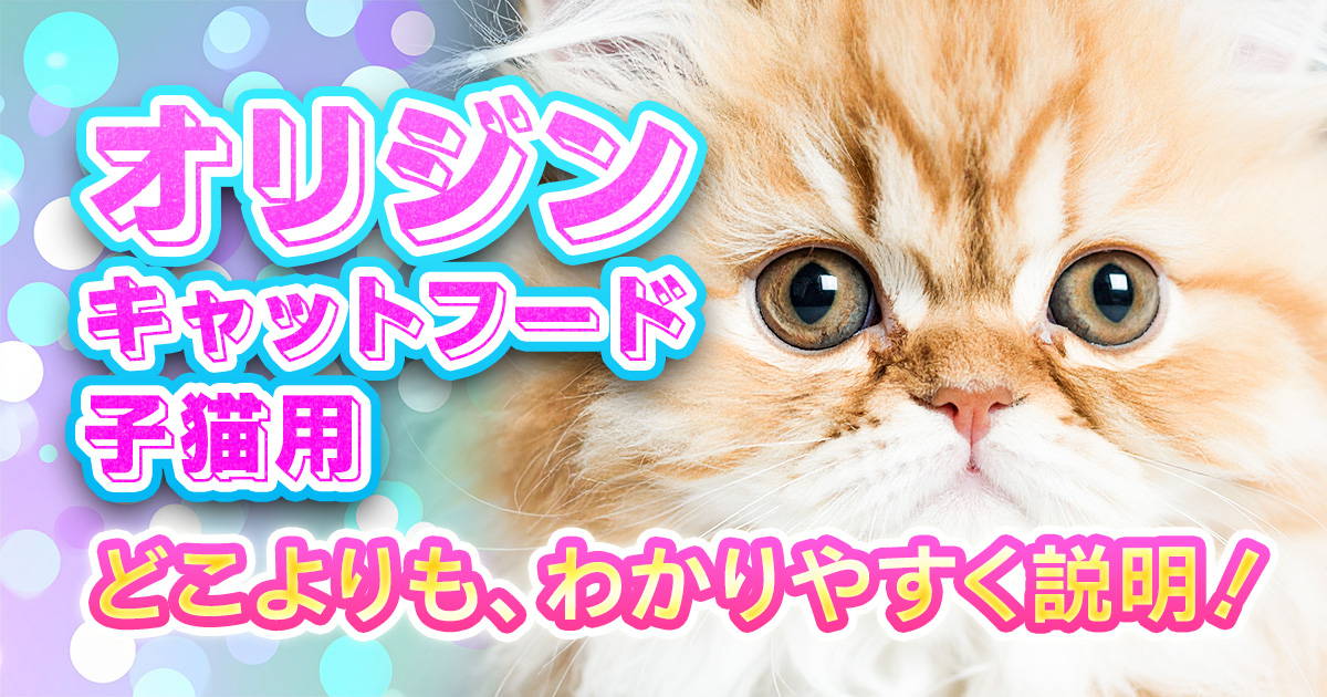 子猫の健やかな成長を願うあなたへ！オリジンキャットフード徹底解説