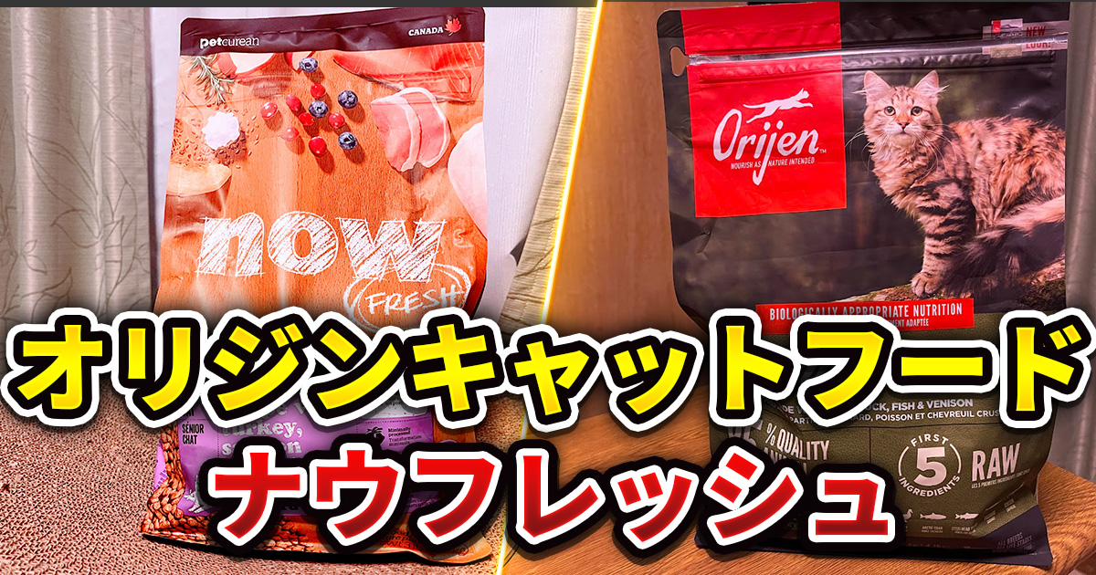 愛猫のためのキャットフード選び！オリジンとナウフレッシュ徹底比較