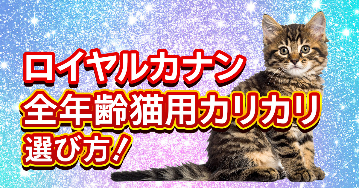 ロイヤルカナン全年齢用カリカリ！愛猫の健康を守る選び方